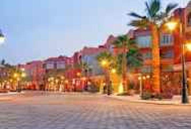 8286208 - صورة العقار 3