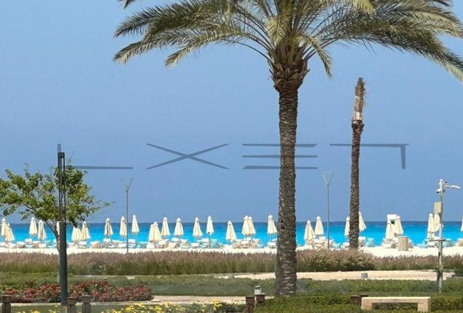 7688015 - صورة العقار 2