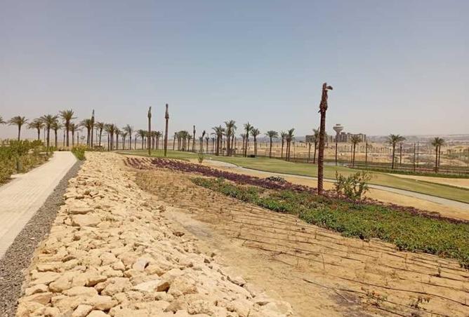 8162950 - صورة العقار 2