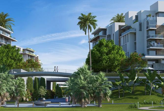 8436172 - Property Image 2