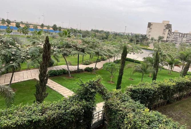 8257572 - Property Image 3