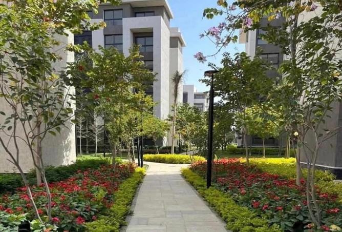 8505831 - Property Image 3