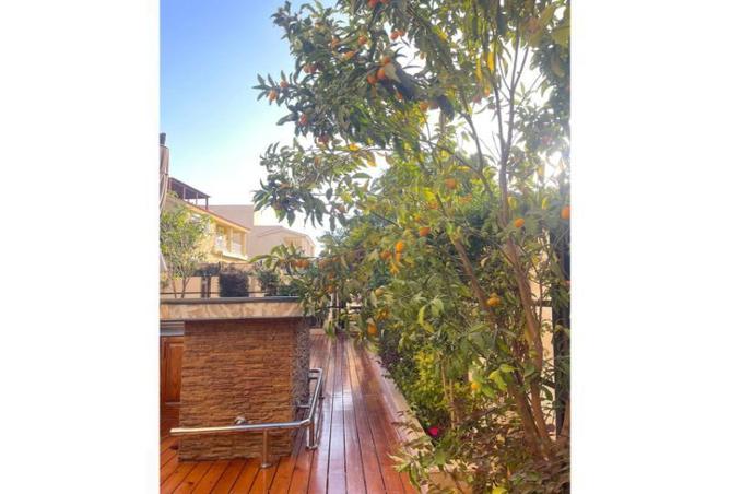 8431699 - Property Image 3