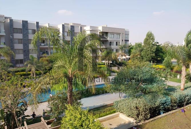 8344446 - Property Image 2