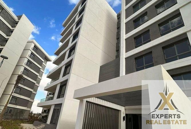 8360489 - Property Image 3