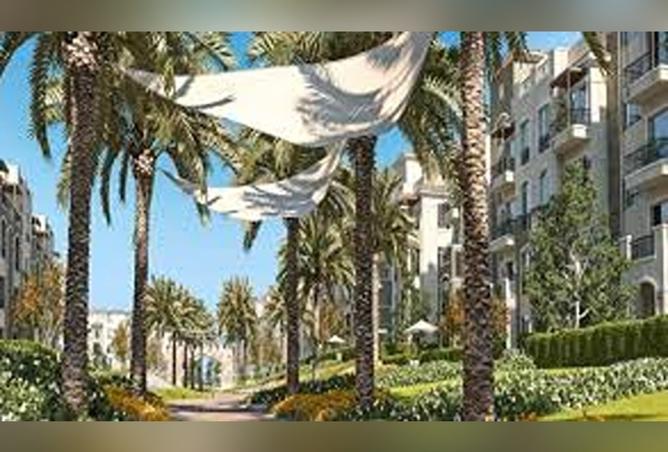 8180911 - Property Image 3