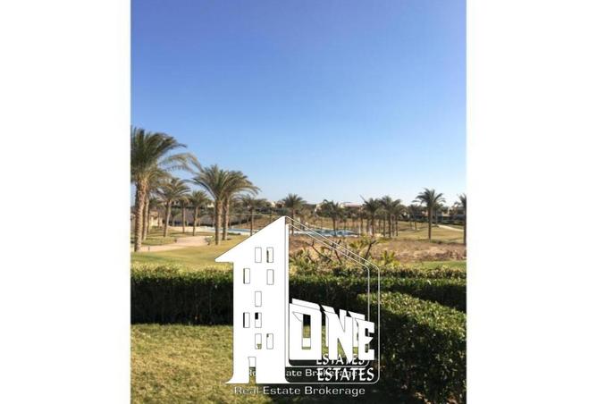 8408356 - صورة العقار 2