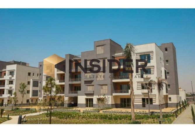 8419069 - Property Image 2