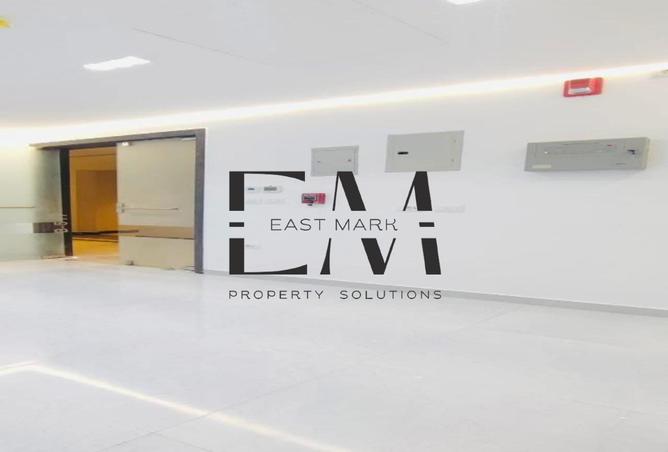 8313906 - Property Image 3