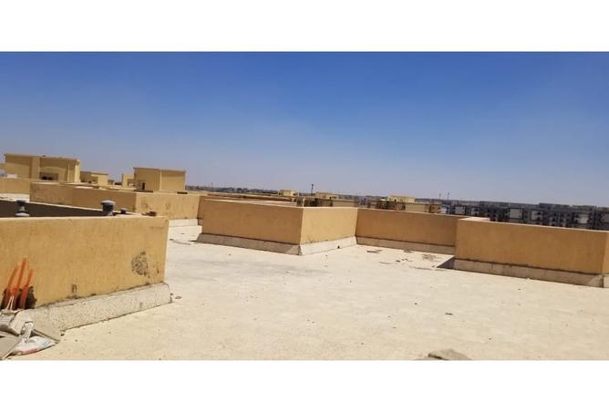 8147416 - صورة العقار 2