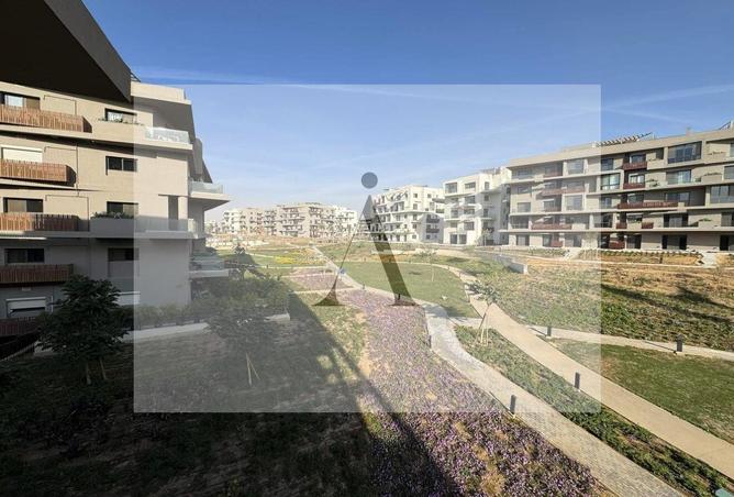 8237896 - Property Image 3