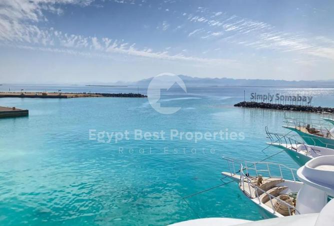 7980405 - Property Image 3