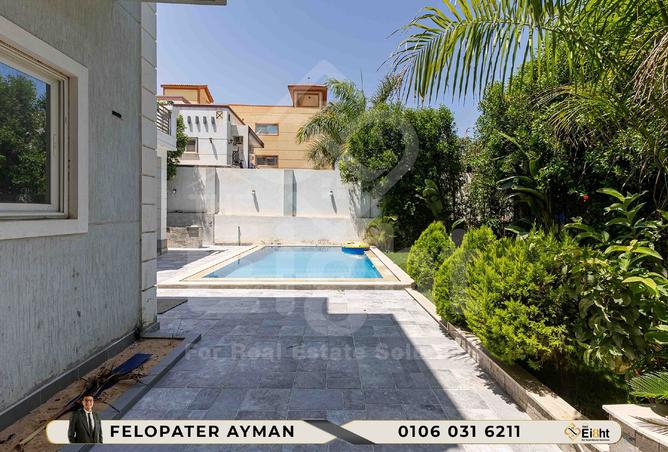 8258001 - صورة العقار 3