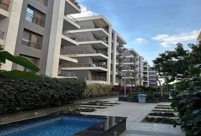 8067696 - Property Image 3