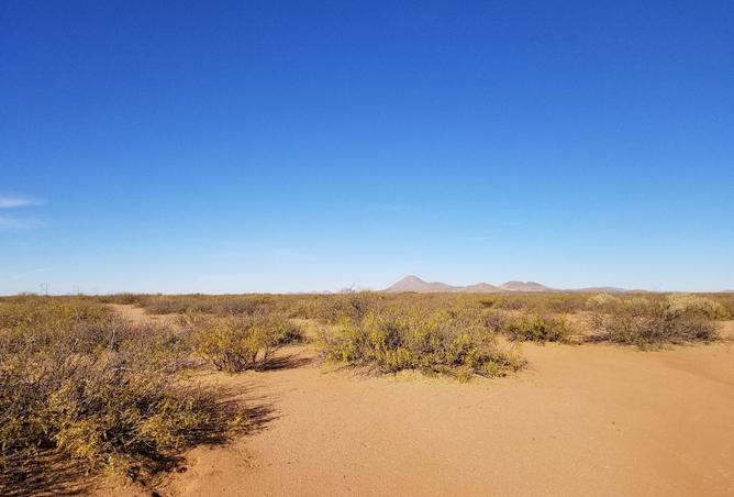 8465142 - صورة العقار 3