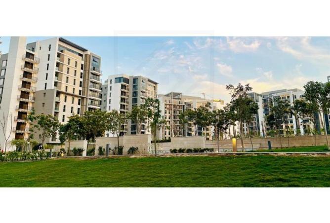 7912860 - صورة العقار 3