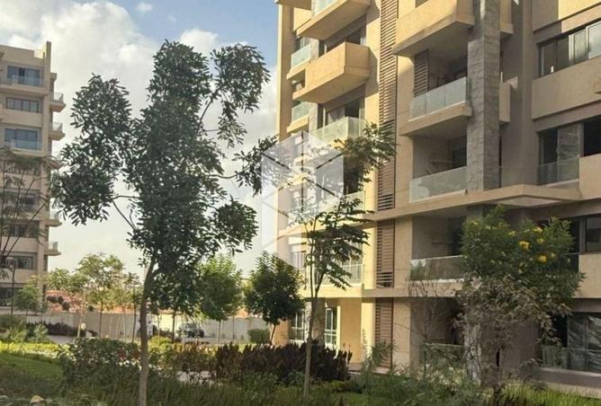 8240130 - Property Image 3