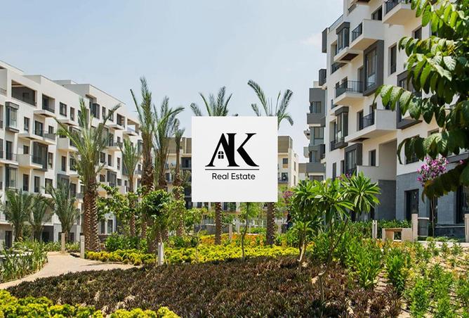 8090486 - Property Image 3