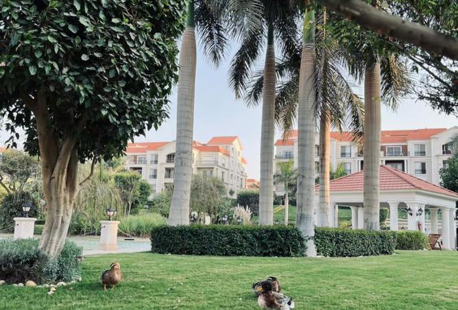 8473557 - Property Image 3