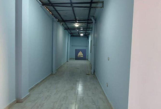 8073934 - صورة العقار 3