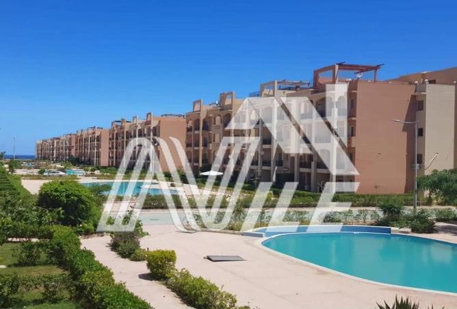 7976801 - Property Image 2
