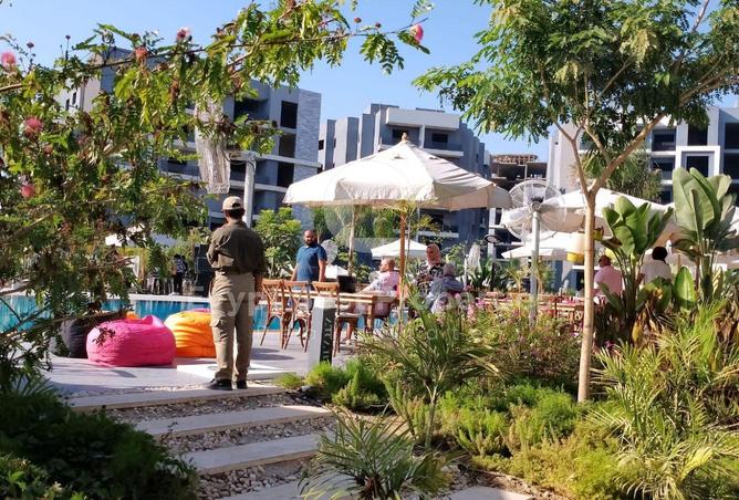 8343972 - صورة العقار 3