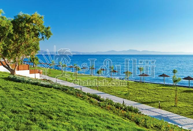 8152058 - الصورة الرئيسية للعقار