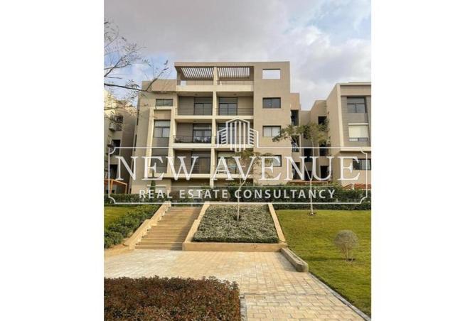 8238376 - Property Image 2