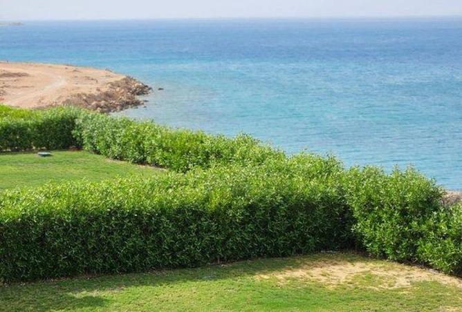 8218551 - الصورة الرئيسية للعقار