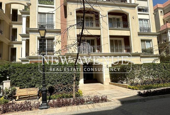 8096882 - Property Image 3
