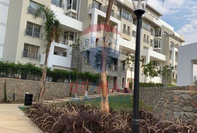 8136383 - Property Image 2
