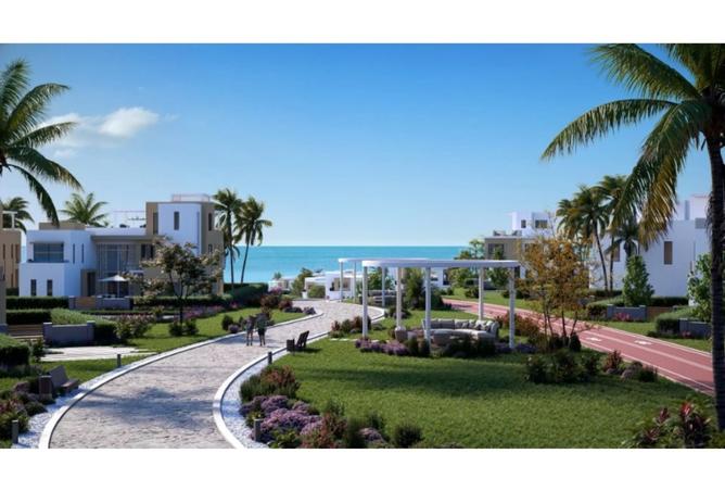 8138711 - Property Image 3