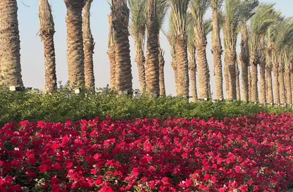 دوبلكس - 3 غرف نوم - 3 حمامات للبيع في بيتا جرينز - كمبوندات مدينة المستقبل - مدينة المستقبل - القاهرة