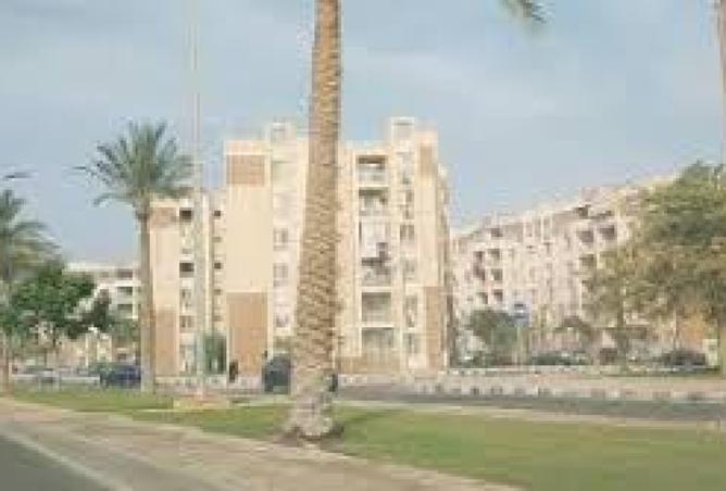 8367264 - صورة العقار 3