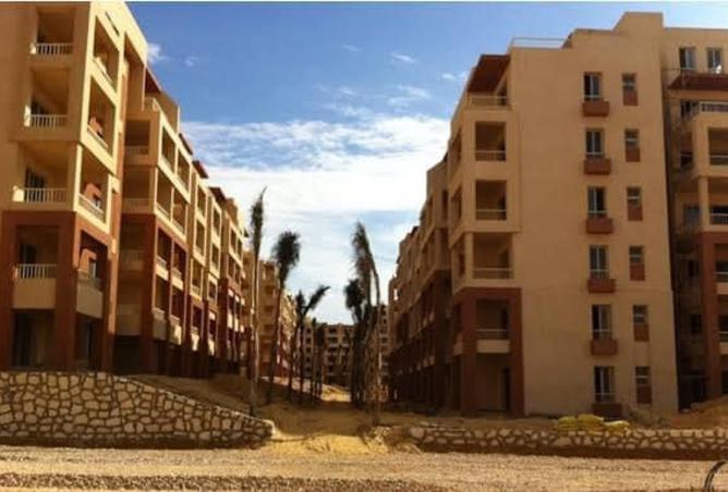 8212424 - صورة العقار 2