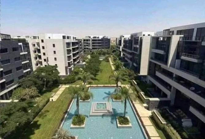 8074415 - Property Image 3