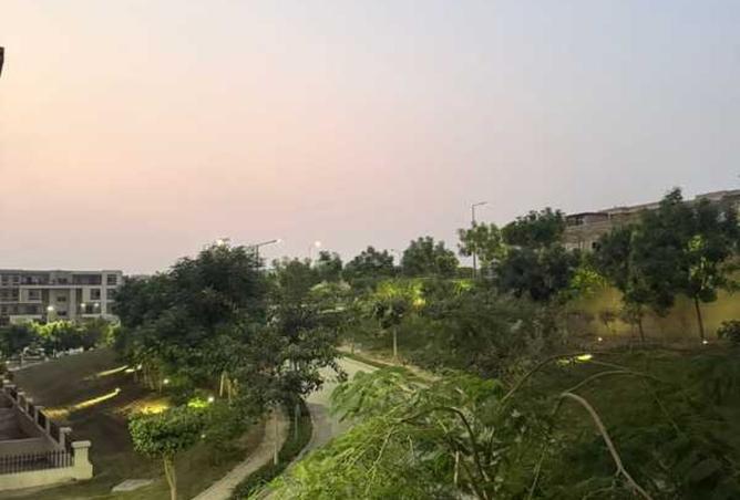 8388235 - صورة العقار 3