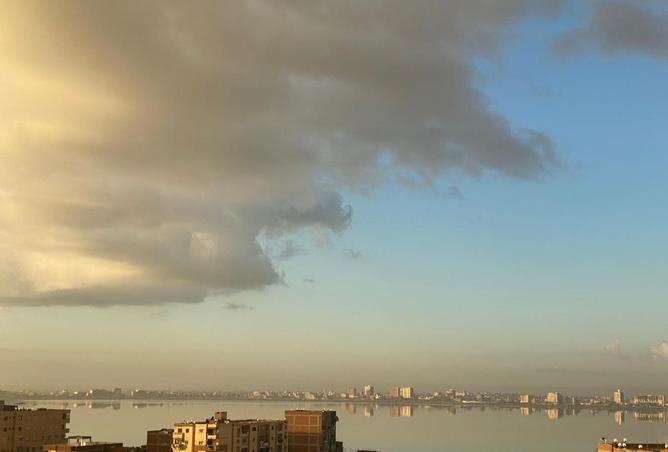 8162533 - Property Image 3