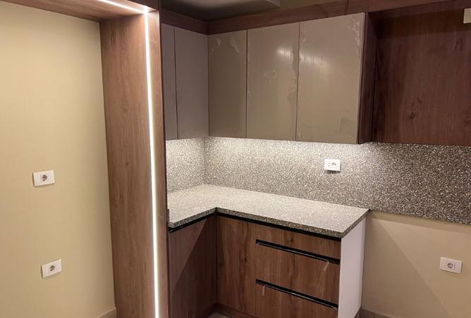 8422356 - Property Image 3