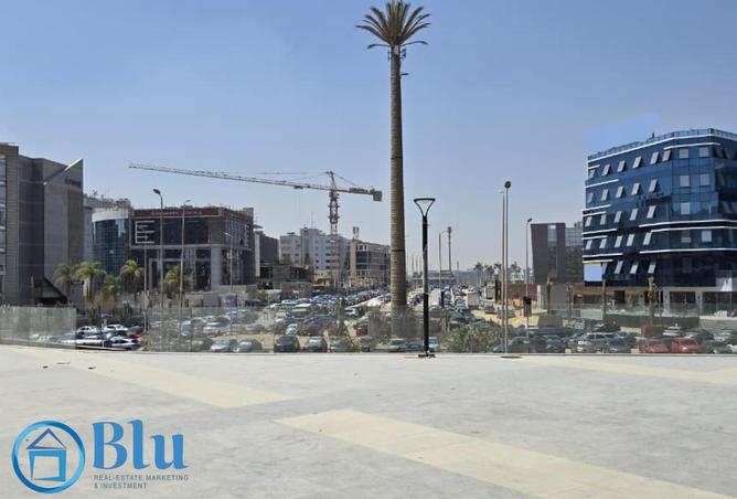 7937278 - Property Image 3