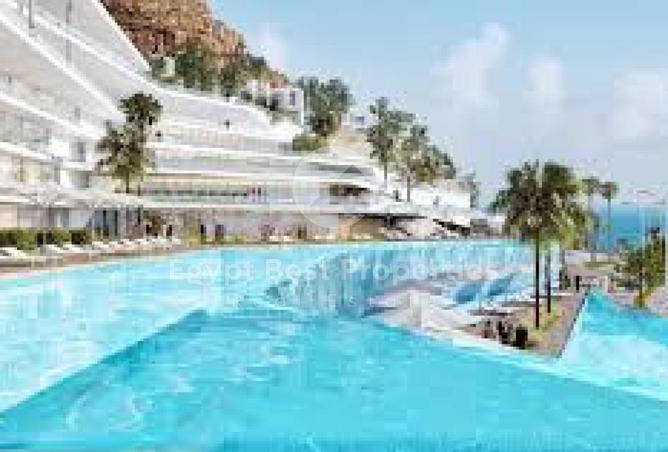 8413836 - Property Image 3