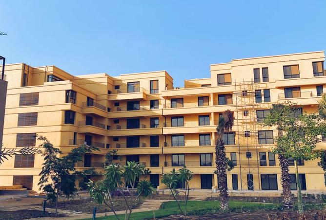 8170455 - صورة العقار 3