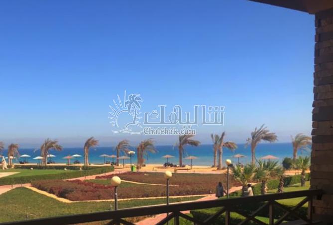 7972288 - الصورة الرئيسية للعقار