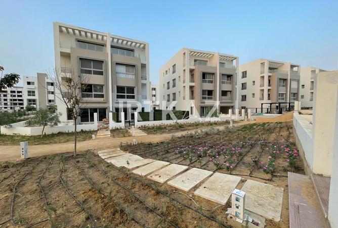 8033724 - Property Image 2