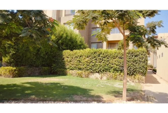 8040697 - الصورة الرئيسية للعقار