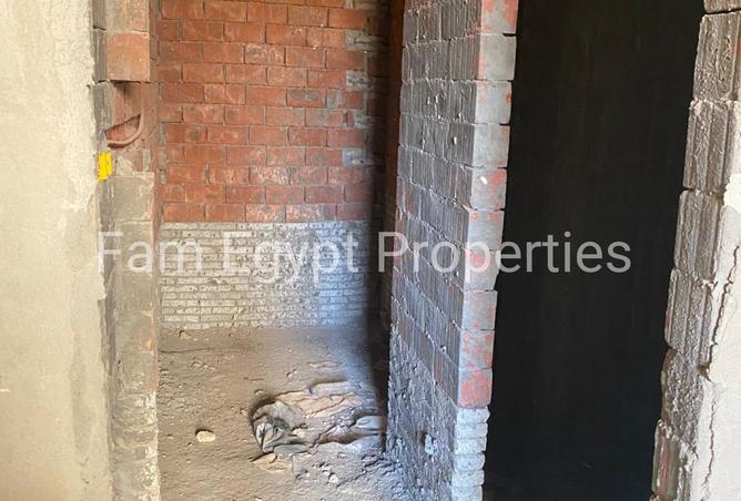 8097389 - Property Image 3