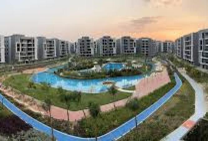 8395378 - Property Image 3