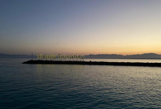 7993985 - Property Image 3