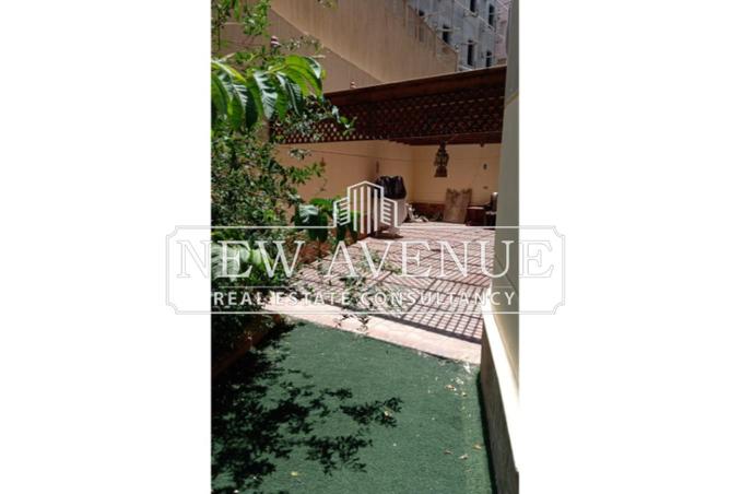 8005248 - Property Image 3