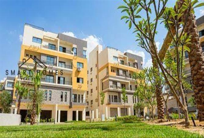 7986887 - Property Image 3